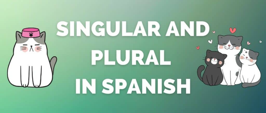 Spanish Grammar - Plural